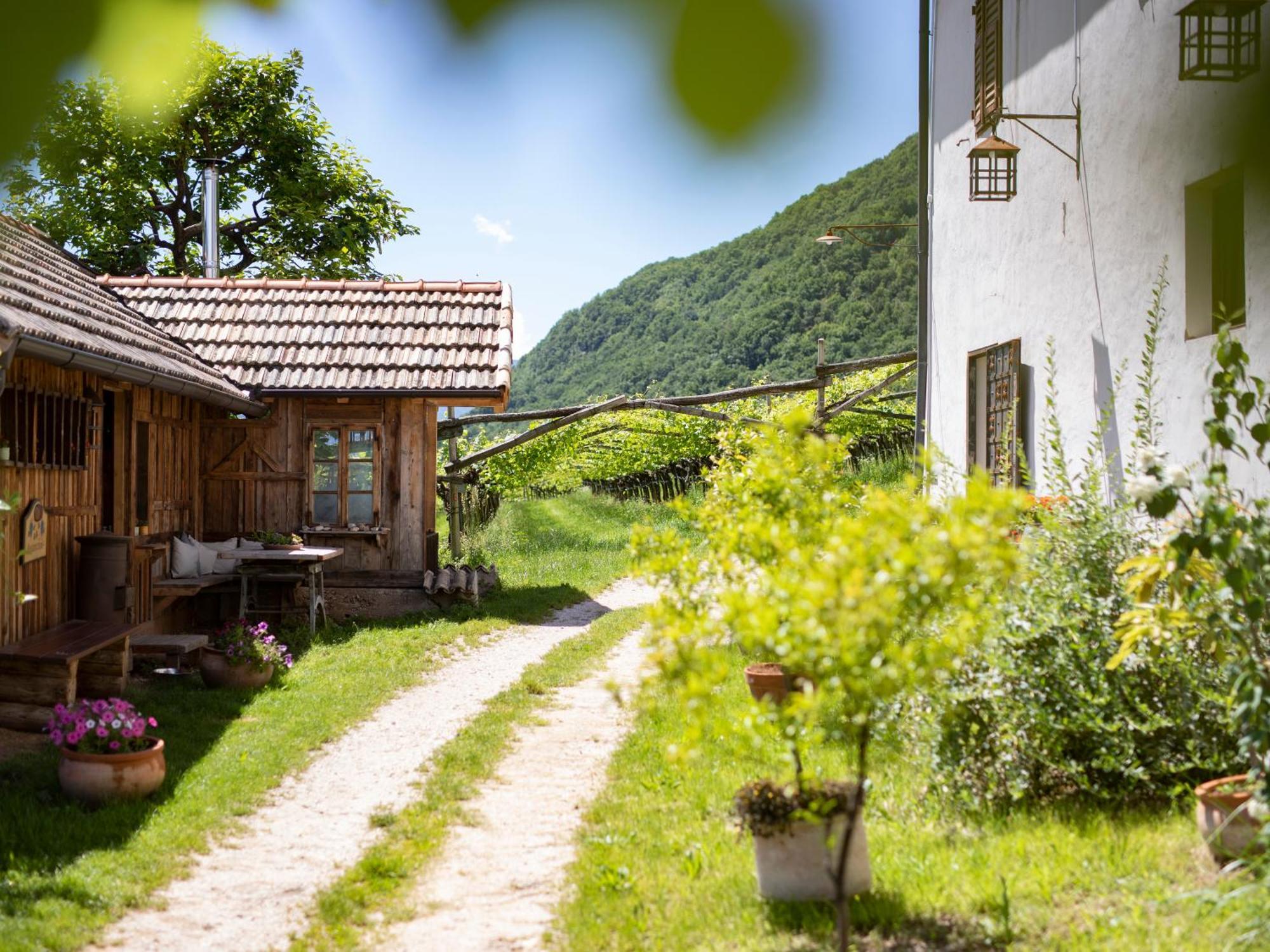 Appartement Arzenhof, Baron Di Pauli à Caldaro Extérieur photo